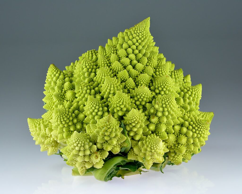 Romenasco cauliflower, from Wikipedia CC BY-SA 3.0